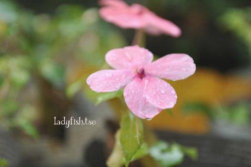 朋友圈充满正能量的情感语录