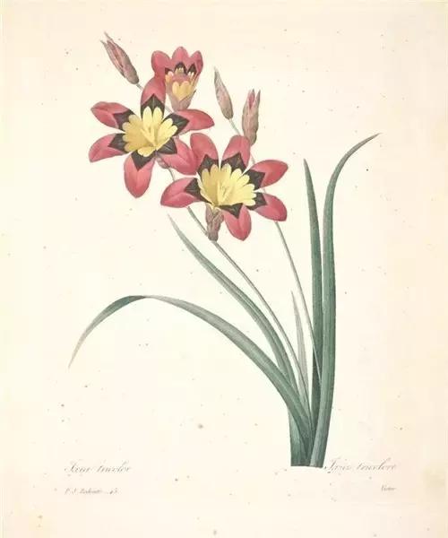 生命中所有的相逢,都是命中注定 生命中所有的相逢,都是命中注定