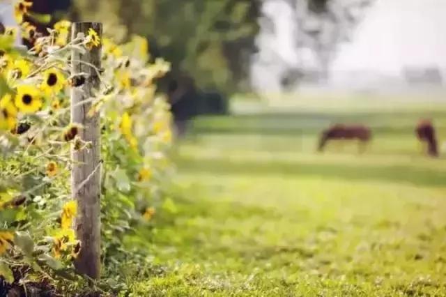 人生路上五句话 人生路上五句话