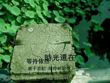 漫漫人生路，最贵莫青春