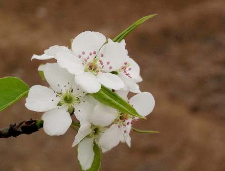 朋友圈唯美忧伤的心情说说语录 朋友圈唯美忧伤的心情说说语录