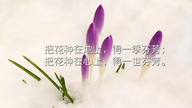 深刻透彻的一句话经典语录，字字珠玑，值得珍藏