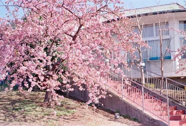 想要别人爱你的话，就要去爱别人，做一个可爱的人