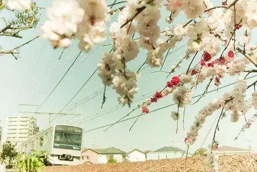 修行是修自己,不是修别人 修行是修自己,不是修别人