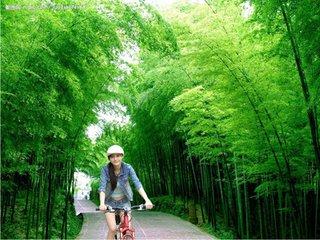 人生哲理之言