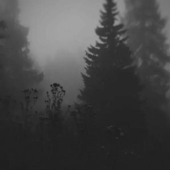 做人,请记住别人的好 做人,请记住别人的好