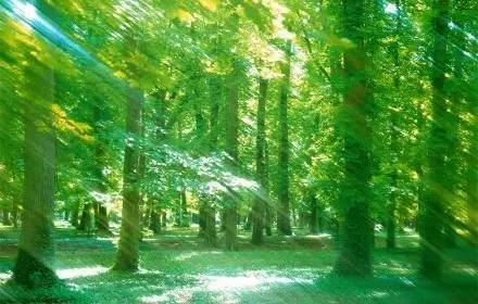 大度看人生，从容过日子