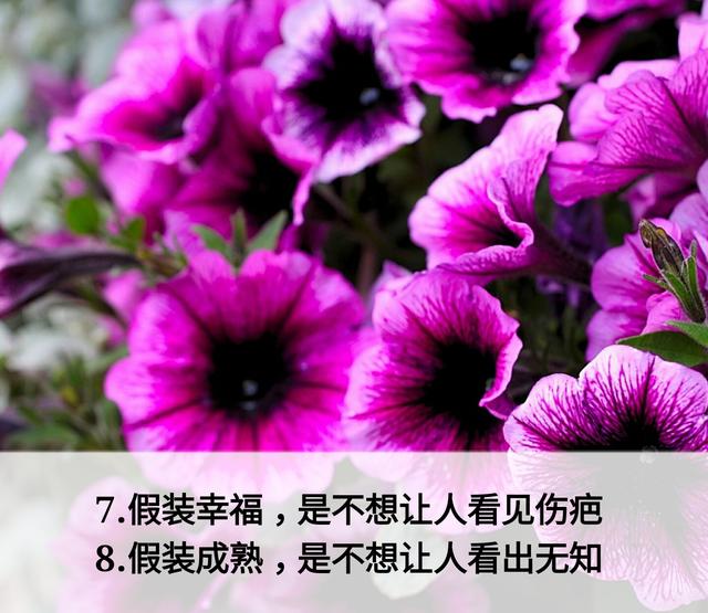 放下面子做人，但不可弯腰