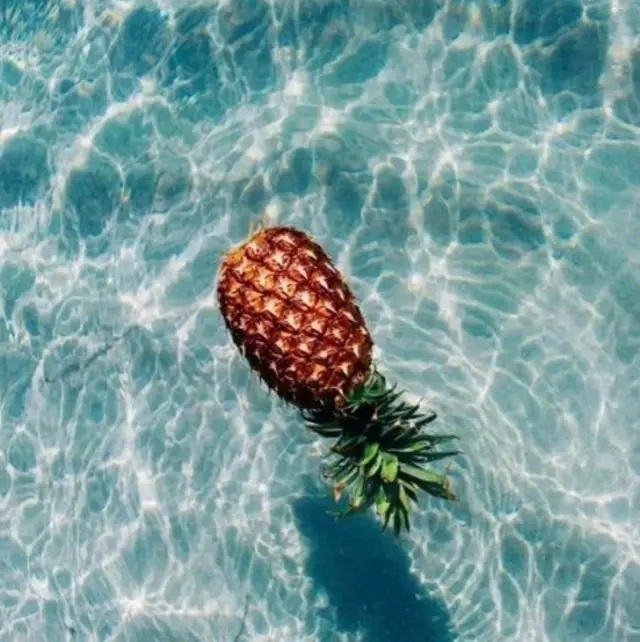 世界让我遍体鳞伤,但伤口长出的却是翅膀 世界让我遍体鳞伤,但伤口长出的却是翅膀