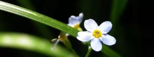 真正的放弃并不会张扬而是慢慢不联系 真正的放弃并不会张扬而是慢慢不联系