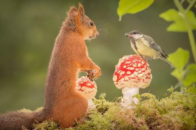 人心能换来人心吗？(句句见血)