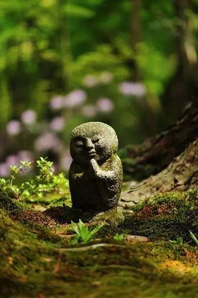 厚道的力量