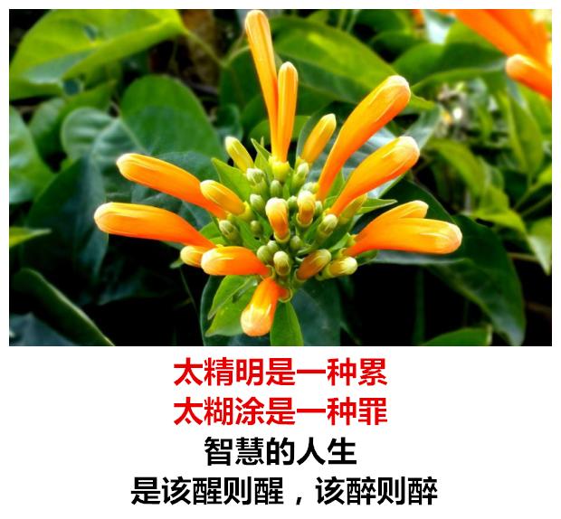生活有苦有甜，爱情有闹有和，心情有悲有喜，日子有阴有晴