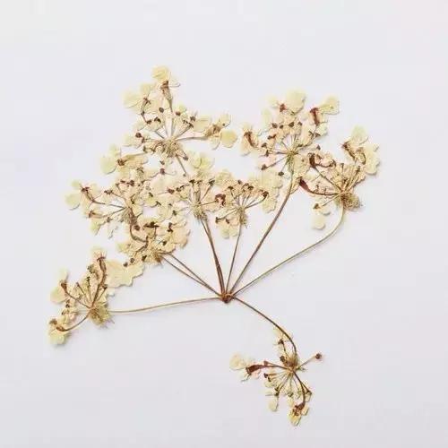 好现实的一段话，句句戳心