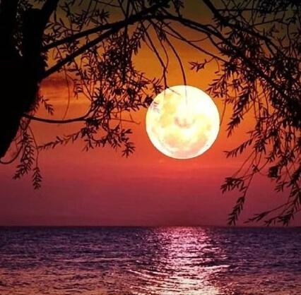 从三毛的经典美句中，感受她如水般的柔情