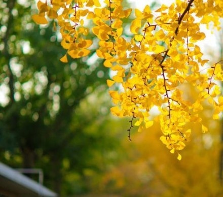 看得透想得开，拿得起放得下