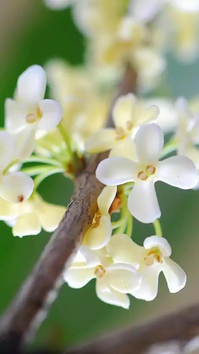 你知道别人为什么喜欢你吗？