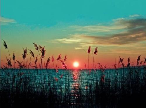 2017qq经典的一句话语录