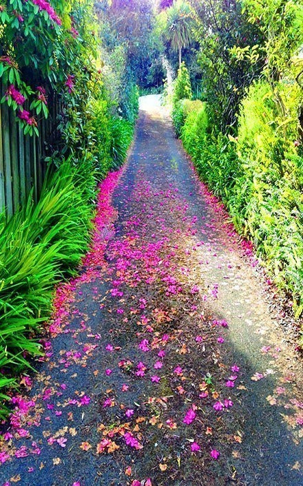 朋友圈唯美忧伤的心情说说语录 朋友圈唯美忧伤的心情说说语录