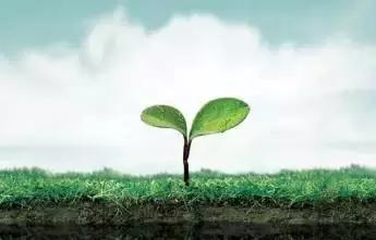 别担心，一切都会好的