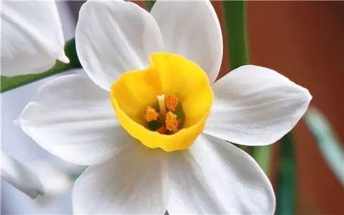 真正的放弃并不会张扬而是慢慢不联系 真正的放弃并不会张扬而是慢慢不联系