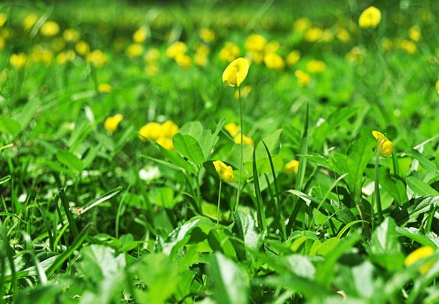 学会放弃，不是放屁（精辟）