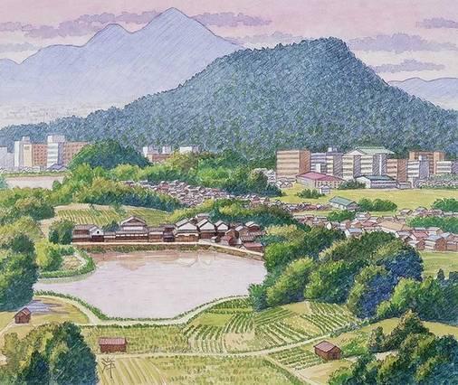 中年的你，人生的开始