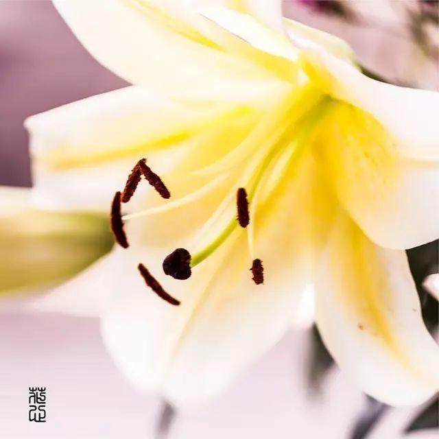 生命中的感谢，真美