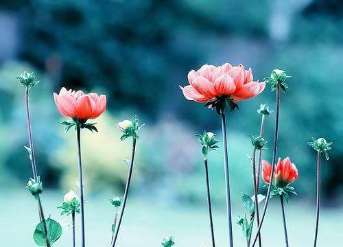 精辟的人生感悟哲理句子，句句让你大彻大悟