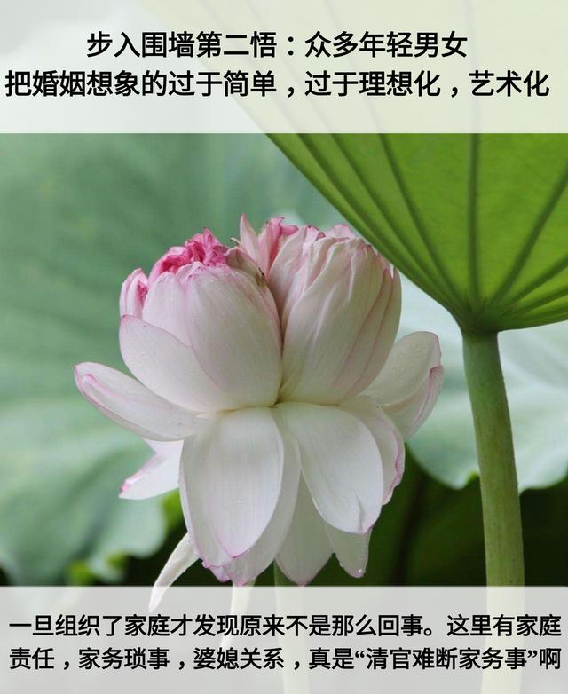 人生：7层次，7道坎，7恩人，7觉悟，7境界