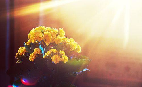 微信感悟人生的经典短语,感触很深 微信感悟人生的经典短语,感触很深