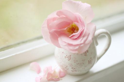 正能量激励人的句子 正能量激励人的句子