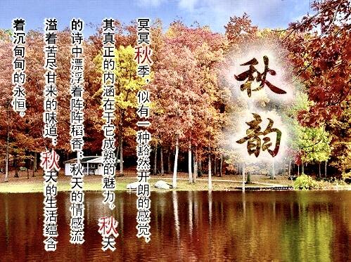 读懂了秋就读懂了人生