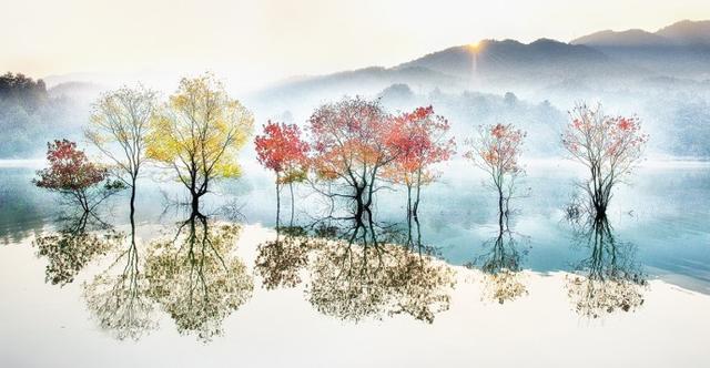 毛主席人间正道是沧桑