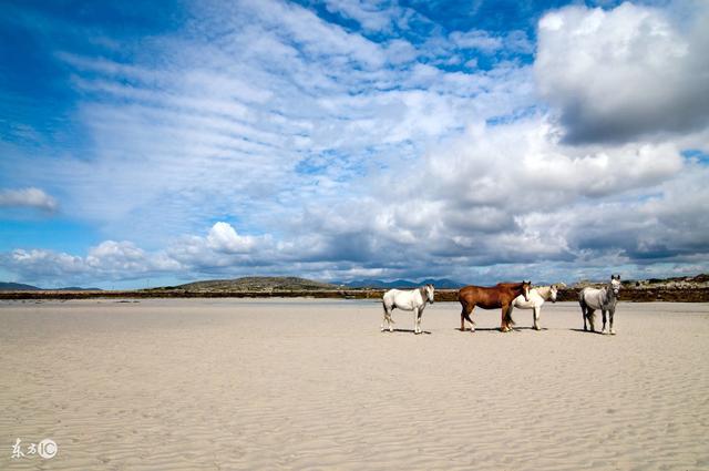 人在没钱时，请牢记五句话，说的真好