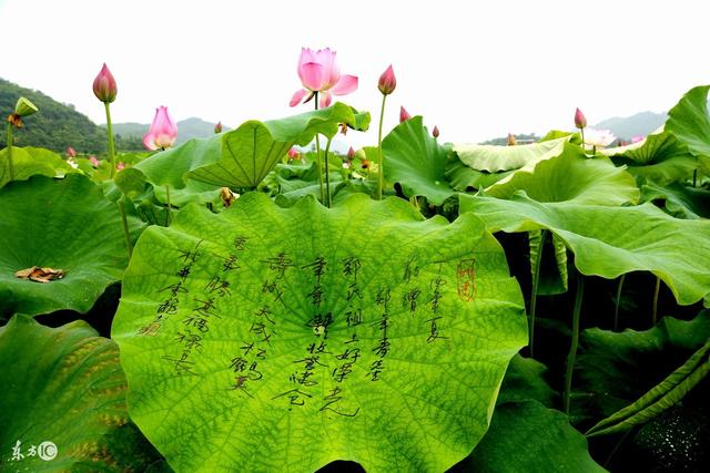 人生：别倦、别糟、别贪、别恋、别厌、别烦、别贱