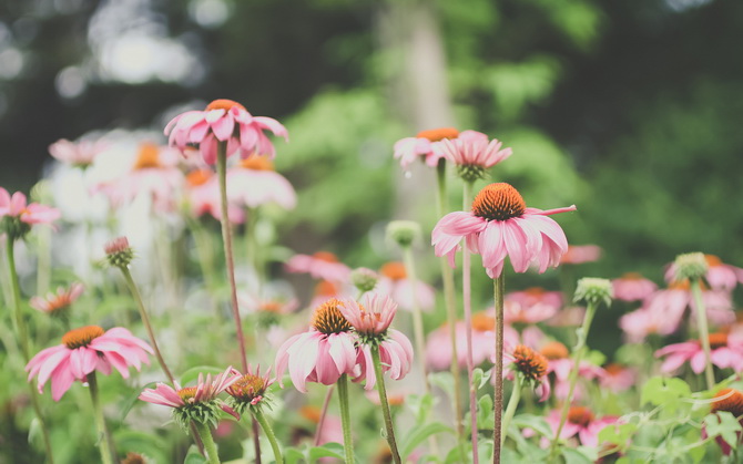 让你相见恨晚的网络经典语录 让你相见恨晚的网络经典语录