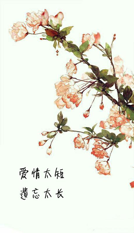 爱情太短，遗忘太长