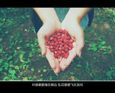 与其羡慕别人，不如做好自己