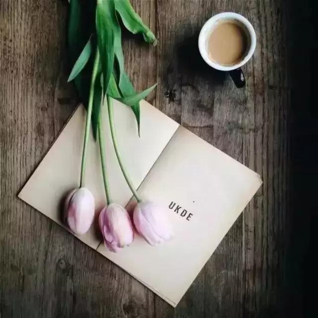 今生最美的遇见