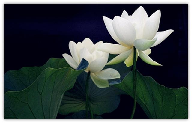 在岁月中修炼自己