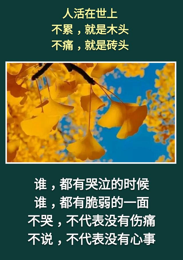 人活着：不累，是木头；不痛，是砖头；不苦，是石头