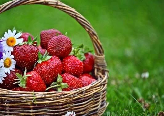 qq空间感悟人生的图片说说短语 qq空间感悟人生的图片说说短语