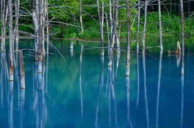 毕淑敏醒世经典语录