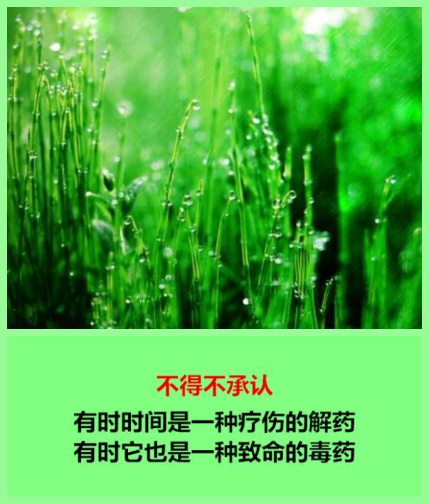 有些人，再也不能联系了