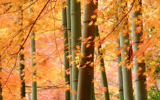 人这辈子必须提前明白的几个道理（句句刺心）