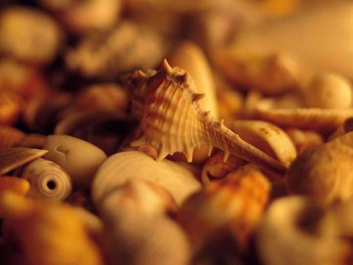 看得透想得开，拿得起放得下