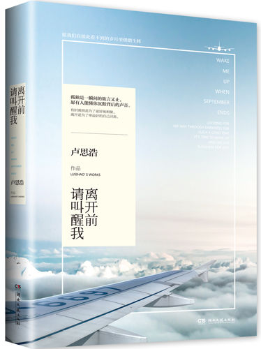 《离开前请叫醒我》经典语录大全 《离开前请叫醒我》经典语录大全