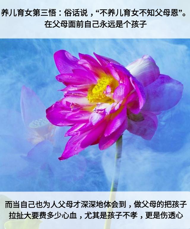 人生：7层次，7道坎，7恩人，7觉悟，7境界