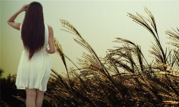 如果今生，注定孤独